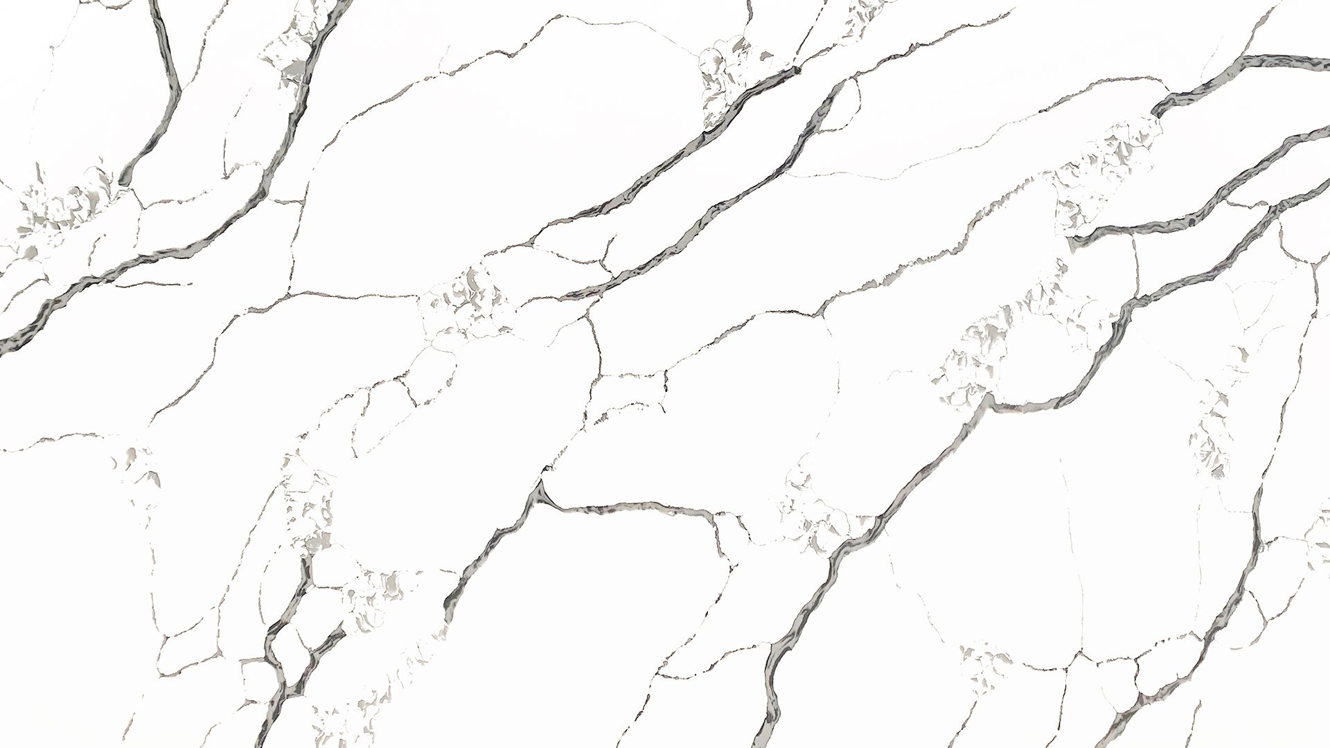 ZL4133 FOREST WINTER 踏雪尋梅